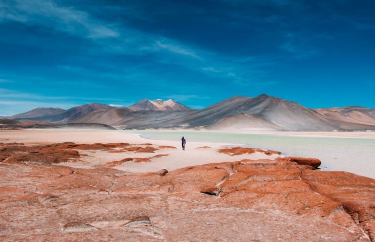 Celebrating innovation at Adionics Argentina's first anniversary 7 adionicsargentina