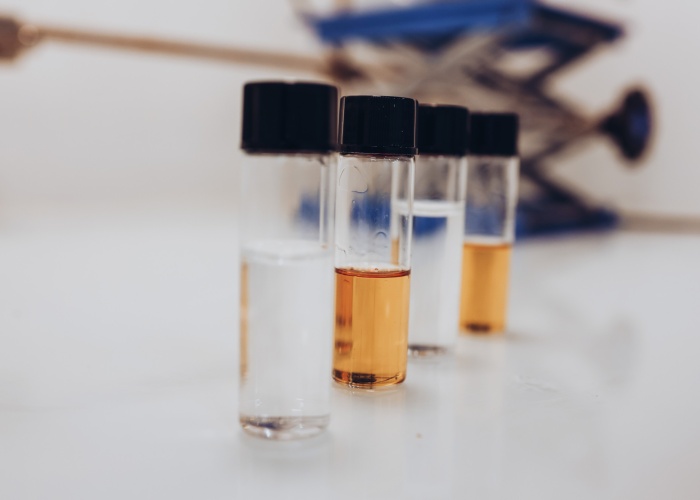 Competencia 4 0X1A6949