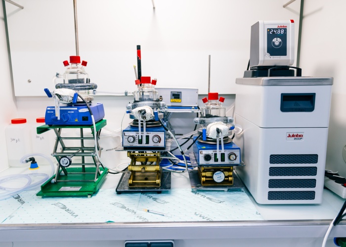 Competencia 8 IMG_5448